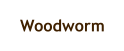 Woodworm