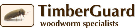 TimberGuard woodworm specialists