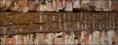 Woodworm teratment in Kent