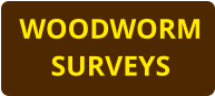 WOODWORM SURVEYS