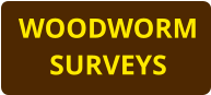 WOODWORM SURVEYS