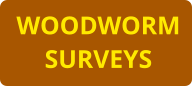 WOODWORM SURVEYS