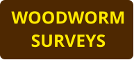 WOODWORM SURVEYS