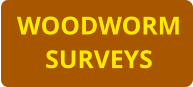 WOODWORM SURVEYS