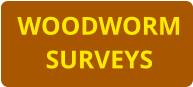 WOODWORM SURVEYS