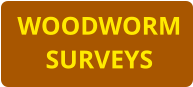 WOODWORM SURVEYS