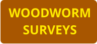 WOODWORM SURVEYS