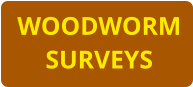 WOODWORM SURVEYS