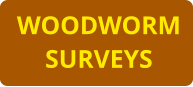 WOODWORM SURVEYS