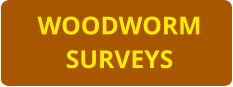 WOODWORM SURVEYS