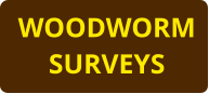 WOODWORM SURVEYS