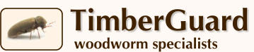 TimberGuard woodworm specialists